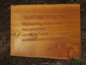 Up All Night Writing Poetry